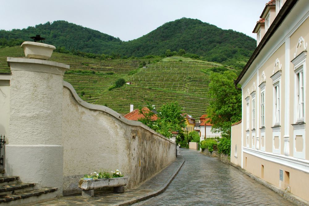 Vini e viticoltori tra Passau e Vienna - Spitz